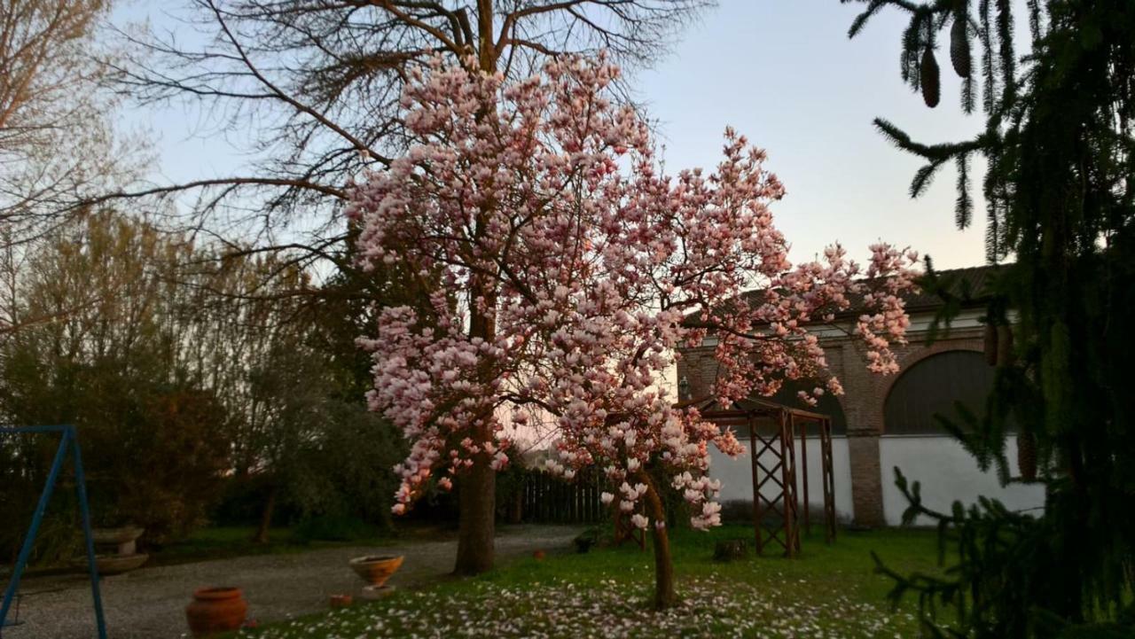 Agriturismo Cipolli E Podo Corte Carlini 만토바 외부 사진