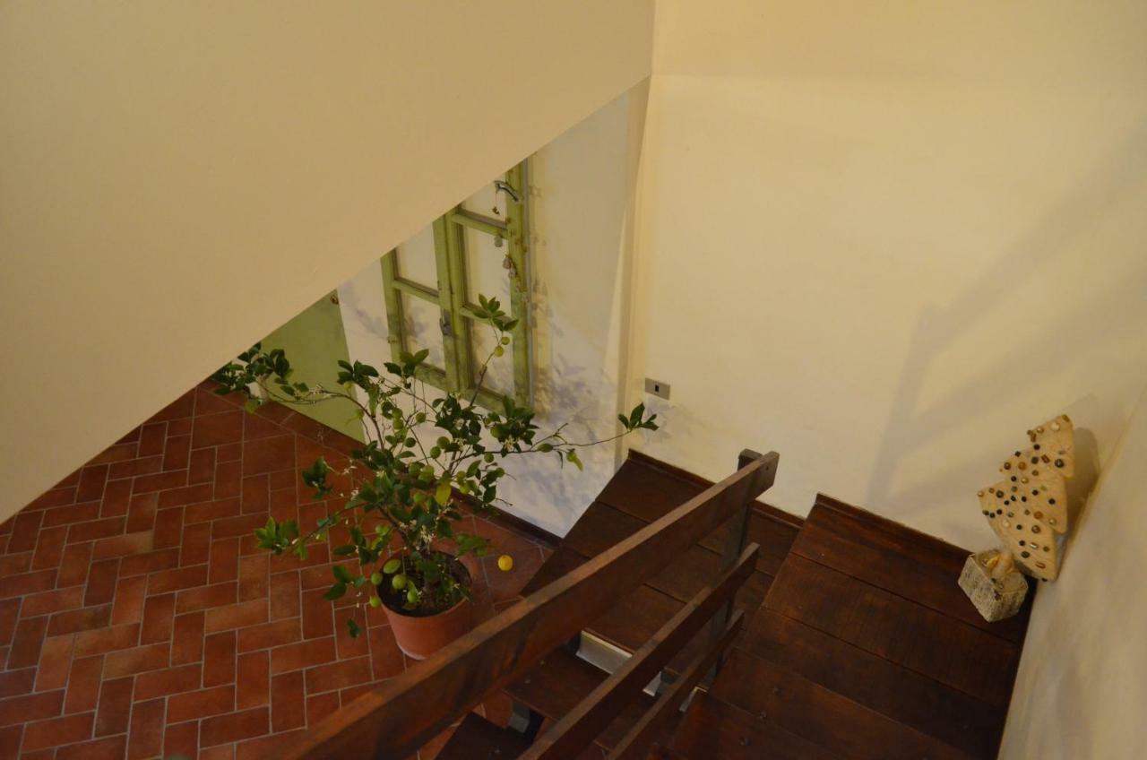 Agriturismo Cipolli E Podo Corte Carlini 만토바 외부 사진